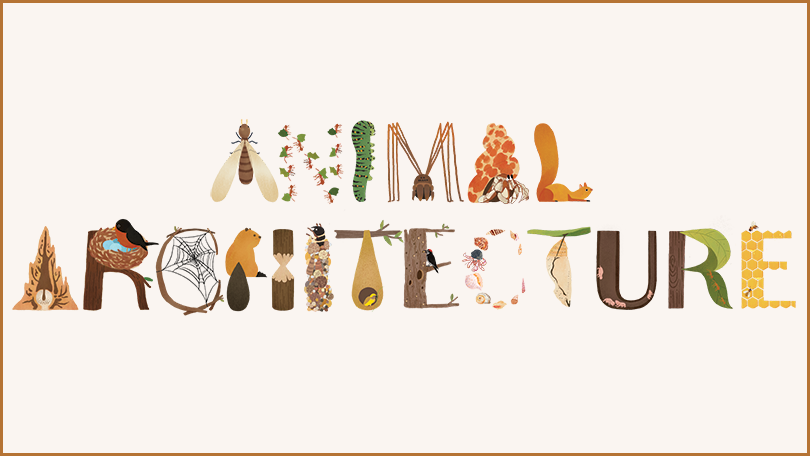 Animal Architecture exhibit poster